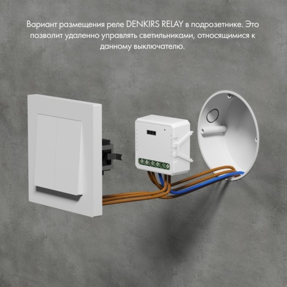 Двухканальное Wi-Fi реле-диммер Denkirs RL1000 RL1004-DM Двухканальное Wi-Fi реле-диммер Denkirs RL1000 RL1004-DM