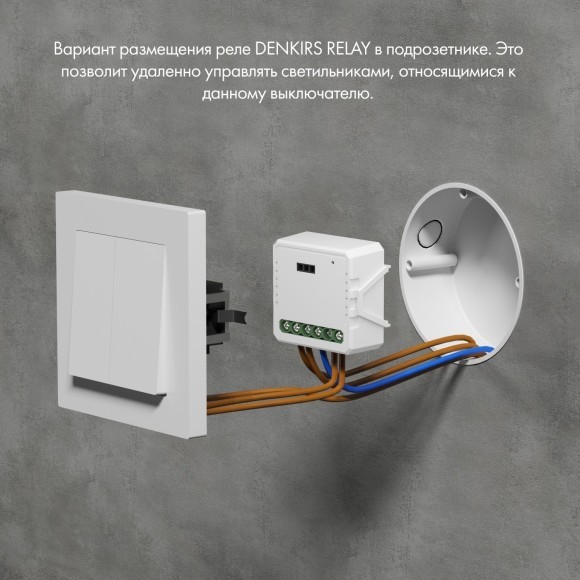 Двухканальное Wi-Fi реле-диммер Denkirs RL1000 RL1004-DM