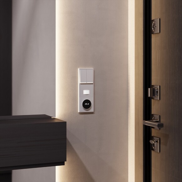 Клавиши для выключателя/переключателя двухклавишного с подсветкой, S70 (серый)