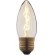3540-E Ретро-лампа LOFT IT Edison Bulb