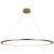 10014XXL Подвесной светильник LOFT IT Ring
