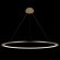 10014XXL Подвесной светильник LOFT IT Ring