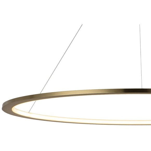 10014XXL Подвесной светильник LOFT IT Ring