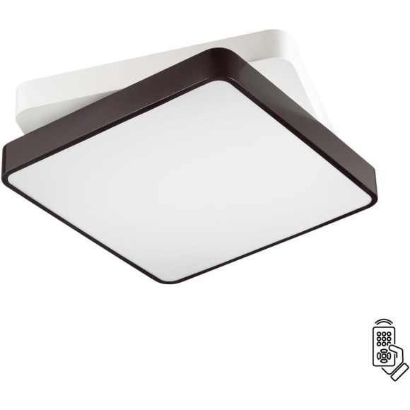 Потолочный светильник светодиодный с пультом Agatha 4511/72CL