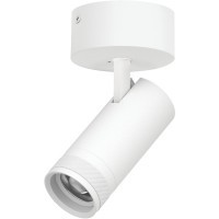 Белый накладной светильник с изм. углом и цветностью 20Вт 1400Лм CRI90 20-55° 2700-4200-6000К Canno Pro Lightstar C4206SO