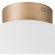 Люстра потолочная Lightstar 812033 Globo под лампу 1xE14 40W