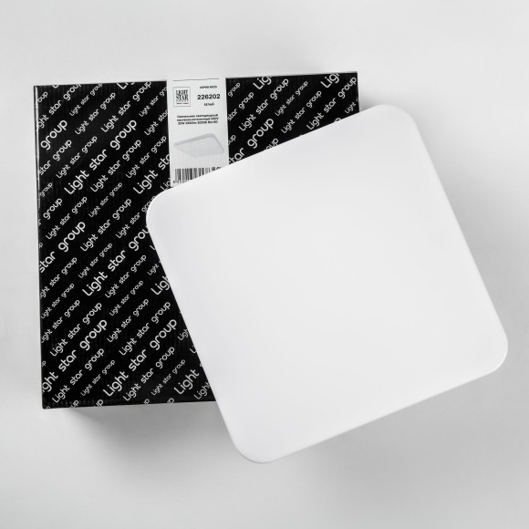 Настенно-потолочный светильник Lightstar 226202 ARCO IP44 светодиодный LED 200W