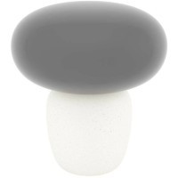 99825 Настольная лампа CAHUAMA