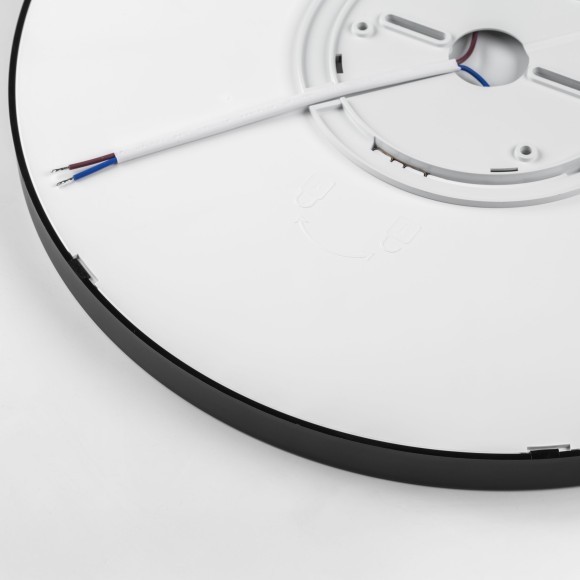 Светильник накладной со встроенными светодиодами Arco 225347 Светильник накладной со встроенными светодиодами Arco 225347