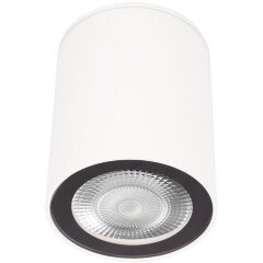 10344 White Накладной светильник LOFT IT Rush