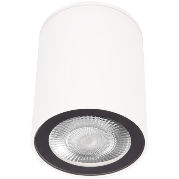 10344 White Накладной светильник LOFT IT Rush