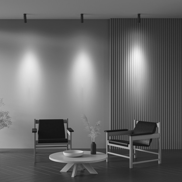 Потолочный светильник Technical C055CL-L12W4K-Z-B Потолочный светильник Technical C055CL-L12W4K-Z-B