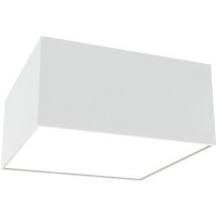 Потолочный светильник Technical C032CL-12W3K-SQ-W