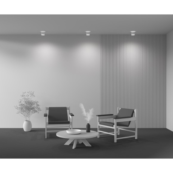 Потолочный светильник Technical C009CW-L12W4K Потолочный светильник Technical C009CW-L12W4K