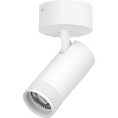 Белый накладной светодиодный спот с изм углом и цветностью 30Вт 2100Лм 20-55° CRI90 2700-4200-6000К Canno Pro Lightstar C4306SO Белый накладной светодиодный спот с изм углом и цветностью 30Вт 2100Лм 20-55° CRI90 2700-4200-6000К Canno Pro Lightstar C4306SO