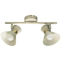 Спот Arte Lamp BALTIMORE A1406AP-2WG