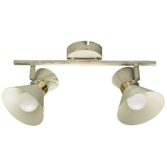 Спот Arte Lamp BALTIMORE A1406AP-2WG