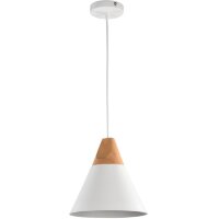 Подвесной светильник с 1 плафоном Maytoni P359-PL-01-W Bicones под лампу 1xE27 60W