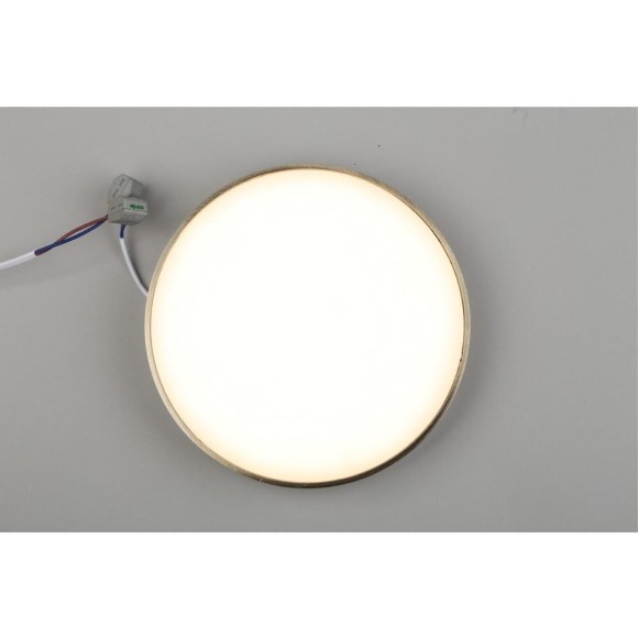 Светильник настенно-потолочный APL.0113.29.24