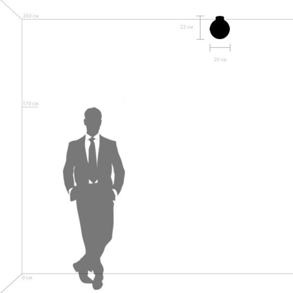 Люстра потолочная Lightstar 812111 Globo под лампу 1xE14 40W