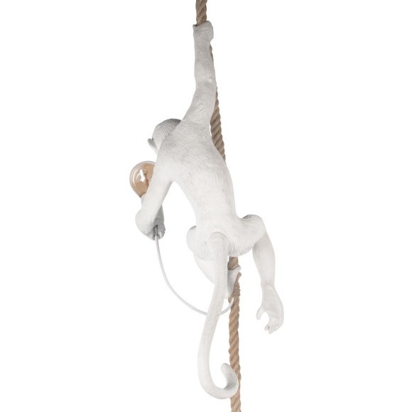 10314P Подвесной светильник LOFT IT Monkey