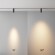 Maytoni EXILITY X TR243-4-5WTW-DSZ-B Трековый светодиодный черный магнитный SAMRT светильник цилиндр диаметром 3.5см, с полным управлением по Zigbee 3.0, LED 5Вт 2700-6000K 390Лм CRI90 36° IP20 48В Maytoni EXILITY X TR243-4-5WTW-DSZ-B Трековый светодиодный черный магнитный SAMRT светильник цилиндр диаметром 3.5см, с полным управлением по Zigbee 3.0, LED 5Вт 2700-6000K 390Лм CRI90 36° IP20 48В