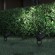 SL9014.425.01 Светильник уличный наземный ST-Luce черный/прозрачный GU10 1*50W YARDO