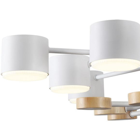 Потолочный светильник GX53 220V Lumion RONDO 8196/10C