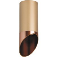 Накладной потолочный светильник Lightstar R440130 RULLO под лампу 1xGU10 50W