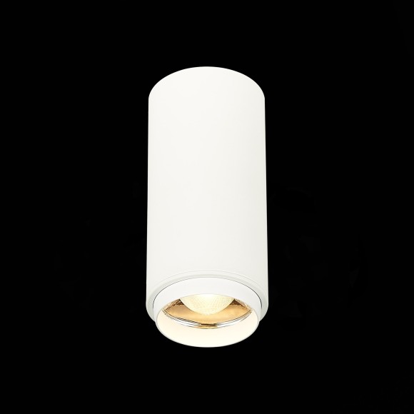 ST600.532.10 Светильник потолочный Zoom Белый LED 1*10W 3000K 1 000Lm Ra80 15-60° IP20 D59xH130 170 Накладные светильники