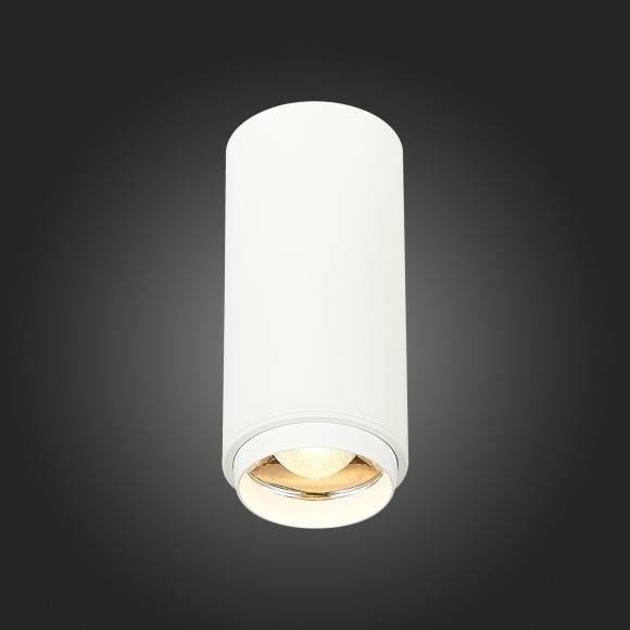 ST600.532.10 Светильник потолочный Zoom Белый LED 1*10W 3000K 1 000Lm Ra80 15-60° IP20 D59xH130 170 Накладные светильники