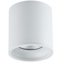 ST165.542.12 Светильник потолочный Белый LED 1*12W 4000K 840Lm Ra90 36° IP44 D80xH85 85-265V Накладные светильники