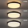 Novotech VIRTUO STREET 359721 Уличный круглый потолочный LED-светильник, 30Вт, 2600Лм, CCT перекл. цветовой температуры внутри корпуса 2700/3200/4000К, CRI90, 220-240В, IP65, черный алюминий и белый пластик, диаметр 290 мм, высота 64,3 мм