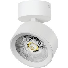 Белый накладной поворотный светодиодный спот 30Вт 36° CRI90 3000К 3510Лм Alta Pro Lightstar A5636SO Белый накладной поворотный светодиодный спот 30Вт 36° CRI90 3000К 3510Лм Alta Pro Lightstar A5636SO
