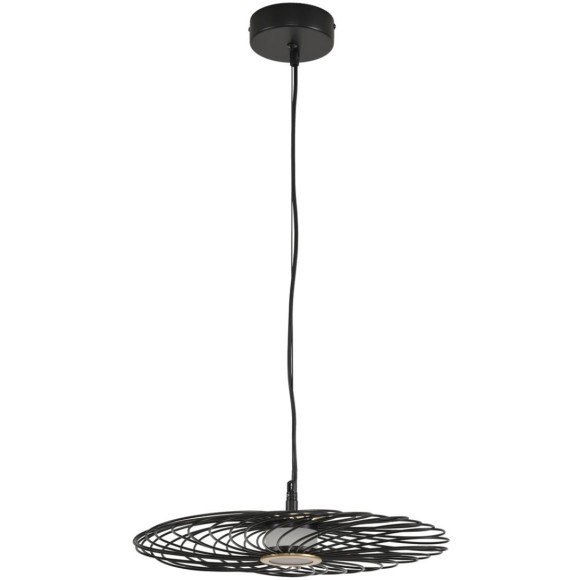 Подвес LED 9W 3000K Lumion CAMOMILE 8379/9L Подвес LED 9W 3000K Lumion CAMOMILE 8379/9L