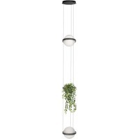 10121/2P Dark grey Подвесной светильник LOFT IT Jardin