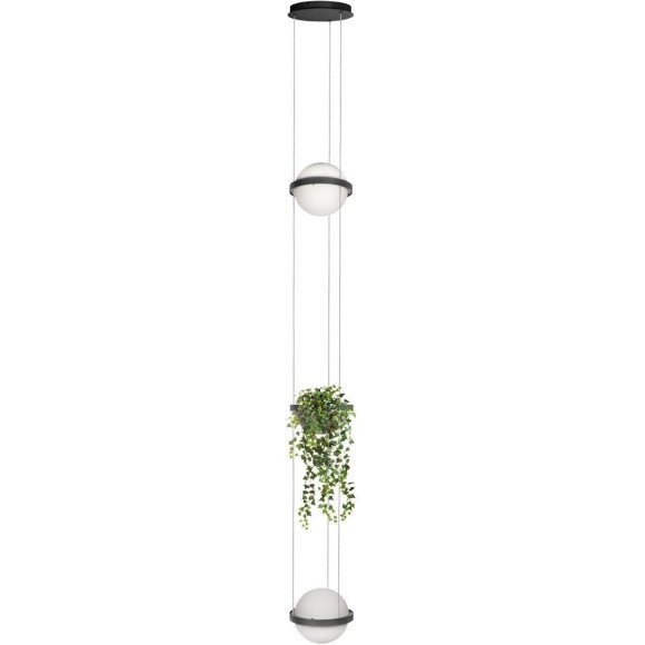 10121/2P Dark grey Подвесной светильник LOFT IT Jardin