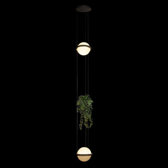 10121/2P Dark grey Подвесной светильник LOFT IT Jardin 10121/2P Dark grey Подвесной светильник LOFT IT Jardin