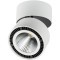 Накладной потолочный светильник Lightstar 213830 Forte Muro светодиодный LED 260W