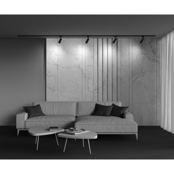 Однофазный двужильный трековый светильник Maytoni Unity TR011-1-GU10-B Focus Design под сменную лампу GU10 Однофазный двужильный трековый светильник Maytoni Unity TR011-1-GU10-B Focus Design под сменную лампу GU10