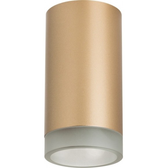 Накладной потолочный светильник Lightstar R44030 RULLO под лампу 1xGU10 50W