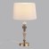 Настольная лампа ODEON LIGHT HOMI 5040/1T