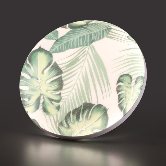 7748/EL PALE SN Светильник светодиодный потолочный пластик/белый/зеленый LED 70Вт 3000-6000К D480 IP43 пульт ДУ FLORI 7748/EL PALE SN Светильник светодиодный потолочный пластик/белый/зеленый LED 70Вт 3000-6000К D480 IP43 пульт ДУ FLORI