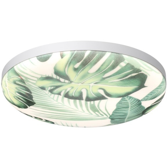 7748/EL PALE SN Светильник светодиодный потолочный пластик/белый/зеленый LED 70Вт 3000-6000К D480 IP43 пульт ДУ FLORI 7748/EL PALE SN Светильник светодиодный потолочный пластик/белый/зеленый LED 70Вт 3000-6000К D480 IP43 пульт ДУ FLORI