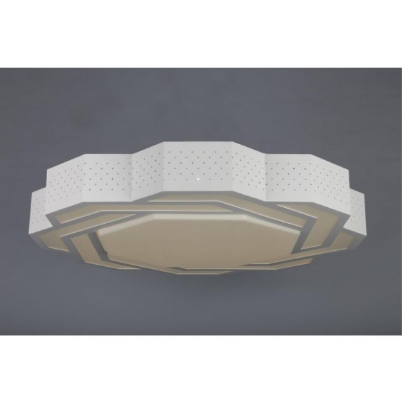 Потолочный светодиодный светильник OML-43607-59