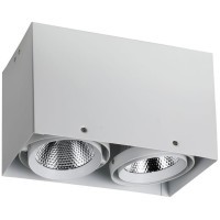 1986-2U, потолочный светильник, L265xW140xH160, COB 2xLEDx12W, RA>80, BEAM ANGLE:24°, 1920LM, 4000K, included