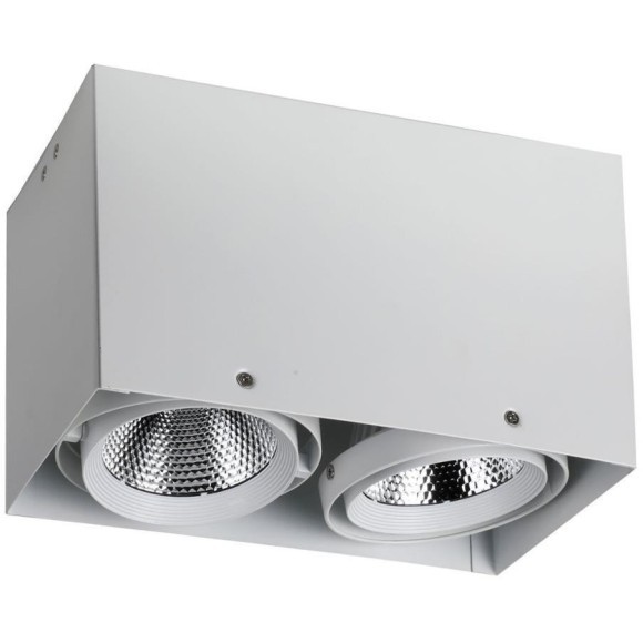 1986-2U, потолочный светильник, L265xW140xH160, COB 2xLEDx12W, RA>80, BEAM ANGLE:24°, 1920LM, 4000K, included