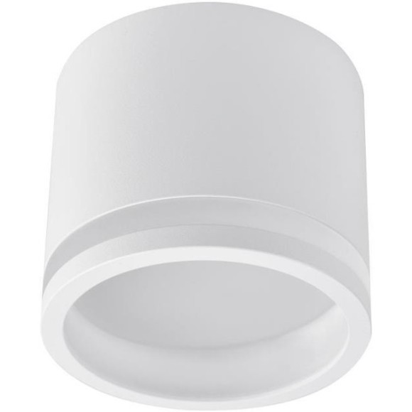 Точечный светильник Festum 4213-1C