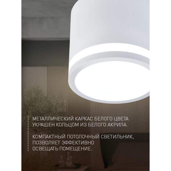 Точечный светильник Festum 4213-1C