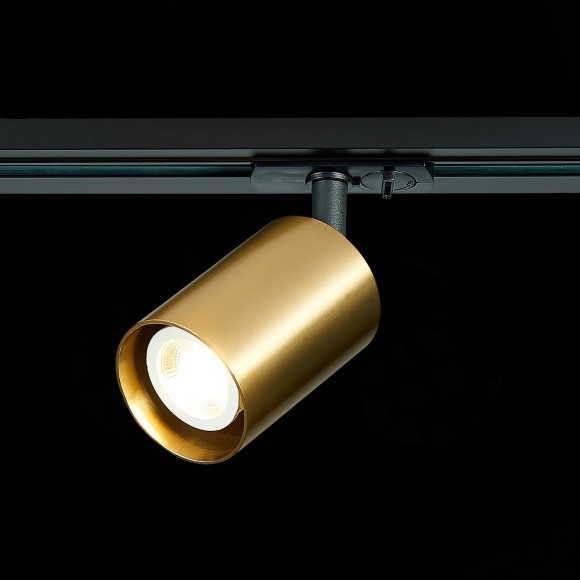 ST302.206.01 однофазный двужильный трековый светильник ST Luce под сменную лампу GU10